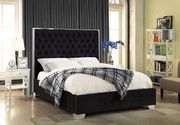 Tufted headboard king bed in modern style main photo