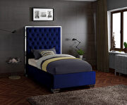 Lexi (Navy) Tufted headboard twin bed in modern style