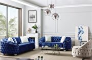 Bursa (Blue) Elegant curved tufted living room sofa