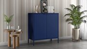 Double wide 29.92 high cabinet in blue main photo