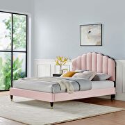 Pink finish performance velvet upholstery platform queen bed main photo