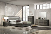 Italian lacquer finish contemporary two-toned bed main photo