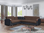 Modern brown sectional with storage / bed