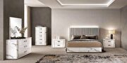 White / gray contemporary sleek style bedroom