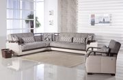 Natural (Valencia Gray) Modern sleeper sofa sectional/chair set
